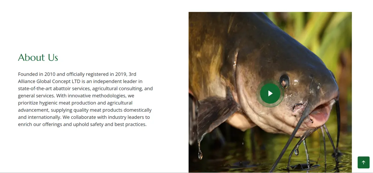 3rd Alliance gallery placeholder 3